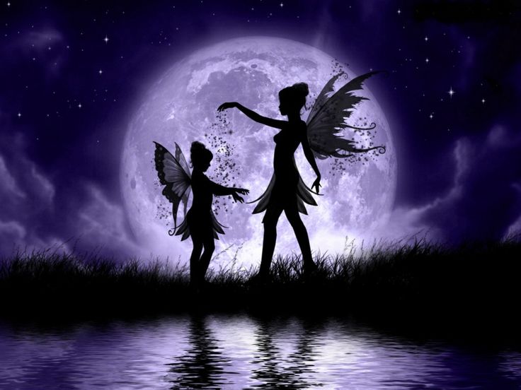 fairy experience
