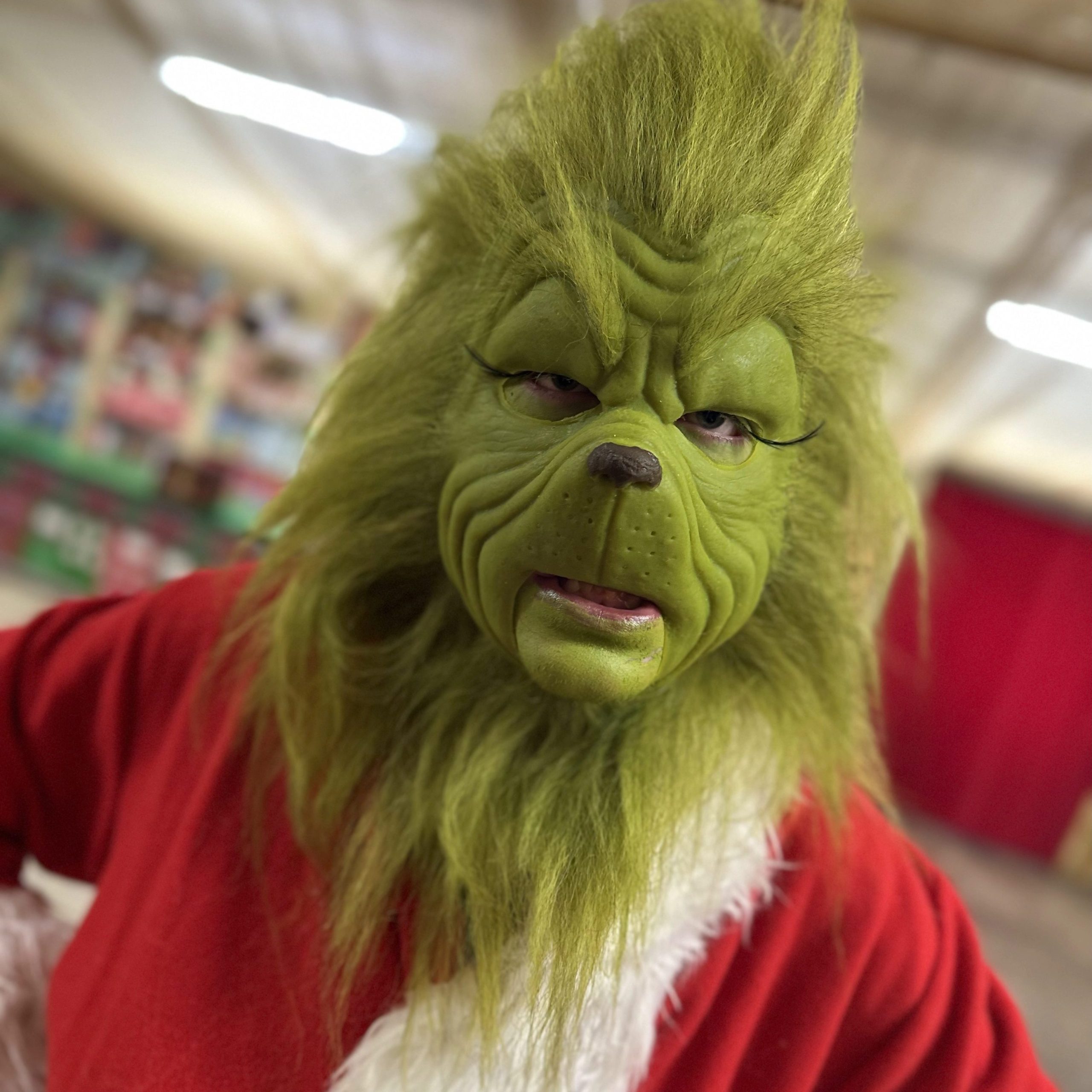 Green Grump Christmas Video